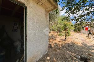 TER. AGRICOLO A BAGHERIA