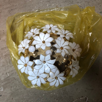 Plafoniera e lampadario