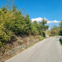 Due lotti di terreno di mq 12200