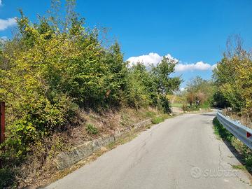 Due lotti di terreno di mq 12200