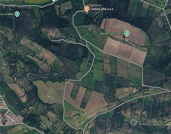 Terreni agricoli - Loc.Ruinas a partire da 28,000