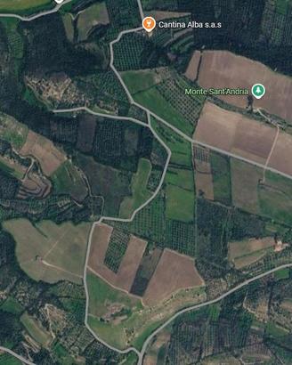 Terreni agricoli - Loc.Ruinas a partire da 28,000