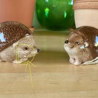 Sale e pepe Coin Casa