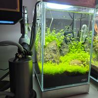 acquario ADA Mini NA 150 Set + filtro UNS 6oz