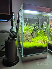 acquario ADA Mini NA 150 Set + filtro UNS 6oz