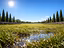 Immagine 10