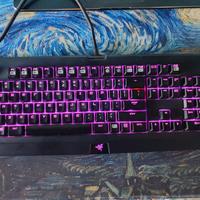 Tastiera Meccanica Razer Chroma - Switch Verdi