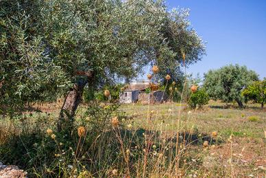 Terreno - Canicattini Bagni