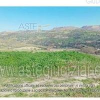 Attività Commerciale Buscemi [A4313519]