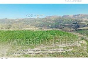 Attività Commerciale Buscemi [A4313519]