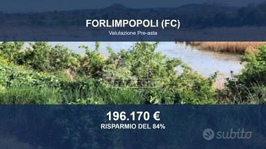 Immobile in asta di 295969 m² a Forlimpopoli