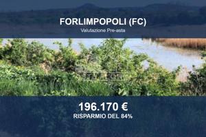 Immobile in asta di 295969 m² a Forlimpopoli