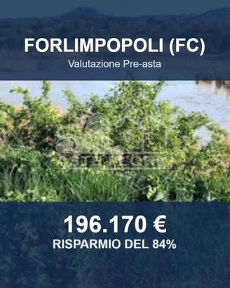 Immobile in asta di 295969 m² a Forlimpopoli