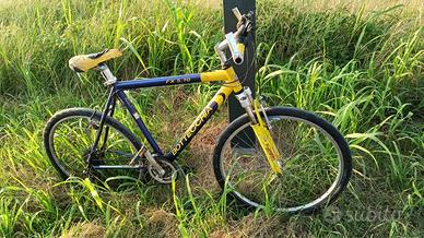 MTB Bottecchia FX 5.10