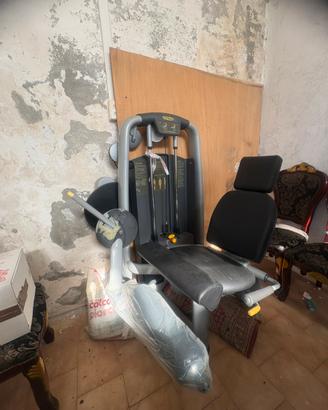 Leg Extension - TechnoGym