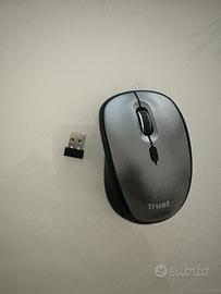 Mouse senza fili