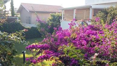 Villa - DA FEBBRAIO A MAGGIO 2026