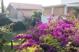 Villa - DA FEBBRAIO A MAGGIO 2026