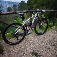 MTB focus raven 
