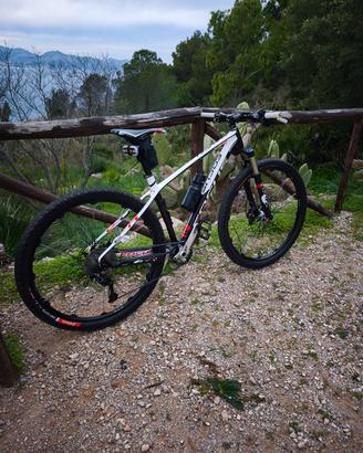 MTB focus raven 