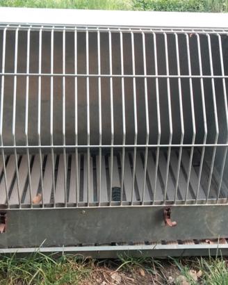 cassetta per cane 