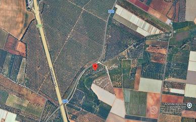 Terreno agricolo 1,6 ha