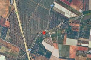 Terreno agricolo 1,6 ha