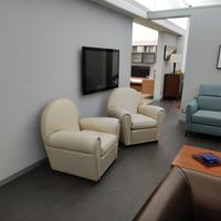 Coppia di poltrone Venere in pelle giallo shabby