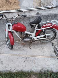 Motorino gitan