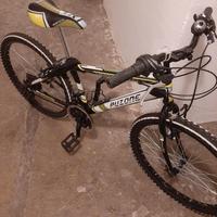 Bicicletta per ragazzo/a