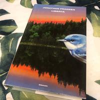 LIBERTÀ - COPERTINA RIGIDA