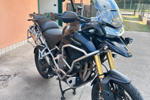 Triumph tiger rally explorer 2024