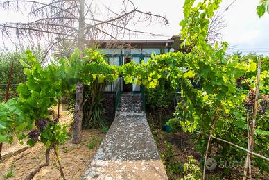 Casa Indipendente - Zafferana Etnea