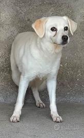 Briciola.rinchiusa qui da giovane.non vive più