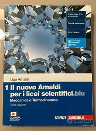 Il nuovo Amaldi per i licei scientifici 1