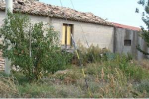 Magazzino C2 da ristrutturare con ampio fronte str