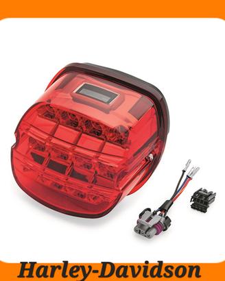 FANALE A LED H-D Layback