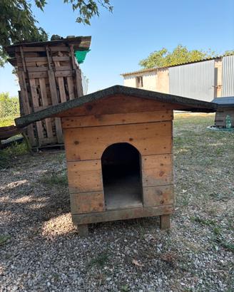 Cuccia per cane