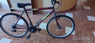 biciclette