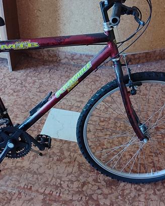 biciclette