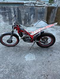 trial beta evo 300