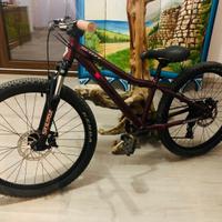 bici Scott  24”