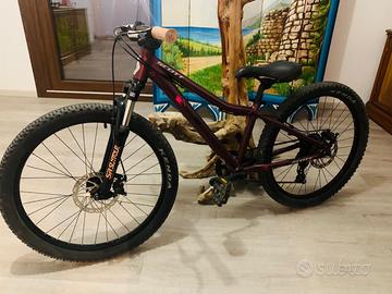 bici Scott  24”