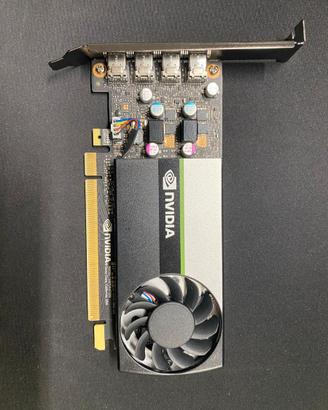 Scheda video Nvidia T600