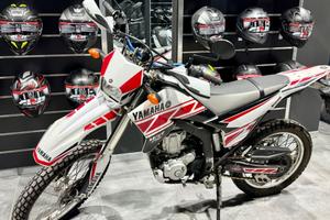 Yamaha WR 250 R 2010 usato garantito WDR MOTO