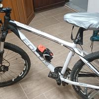 Mountain bike "Focus" Forest Black 