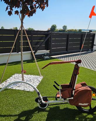 Rimorchio da bici praticamente nuovo