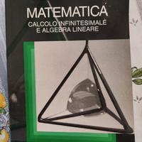 Bramanti Pagani Salsa - Matematica - Zanichelli