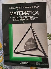 Bramanti Pagani Salsa - Matematica - Zanichelli