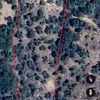 Terreno coltivato ad Uliveto